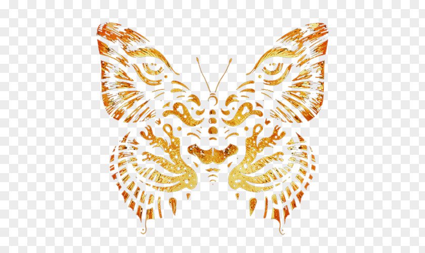 Golden Butterfly Moth PNG