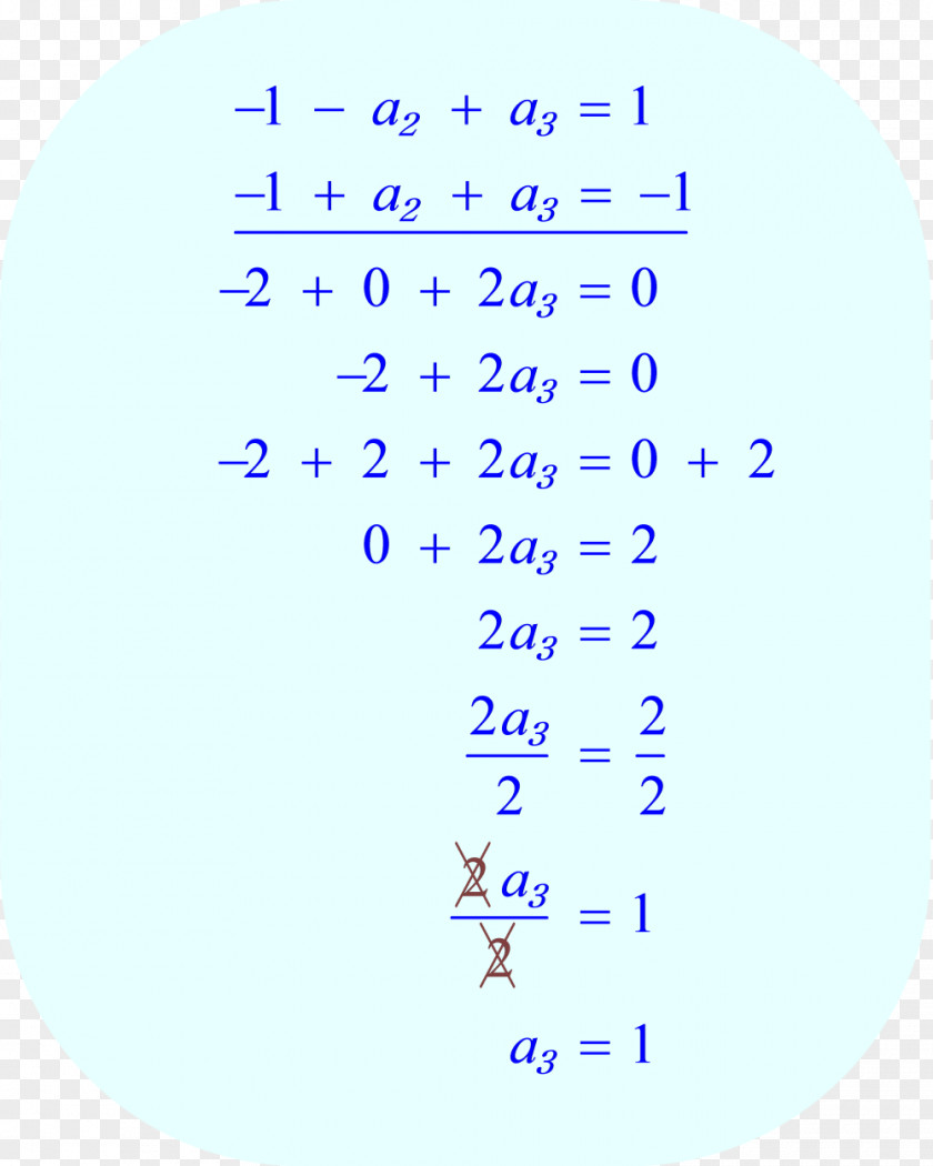 Line Angle Point Product Organism PNG