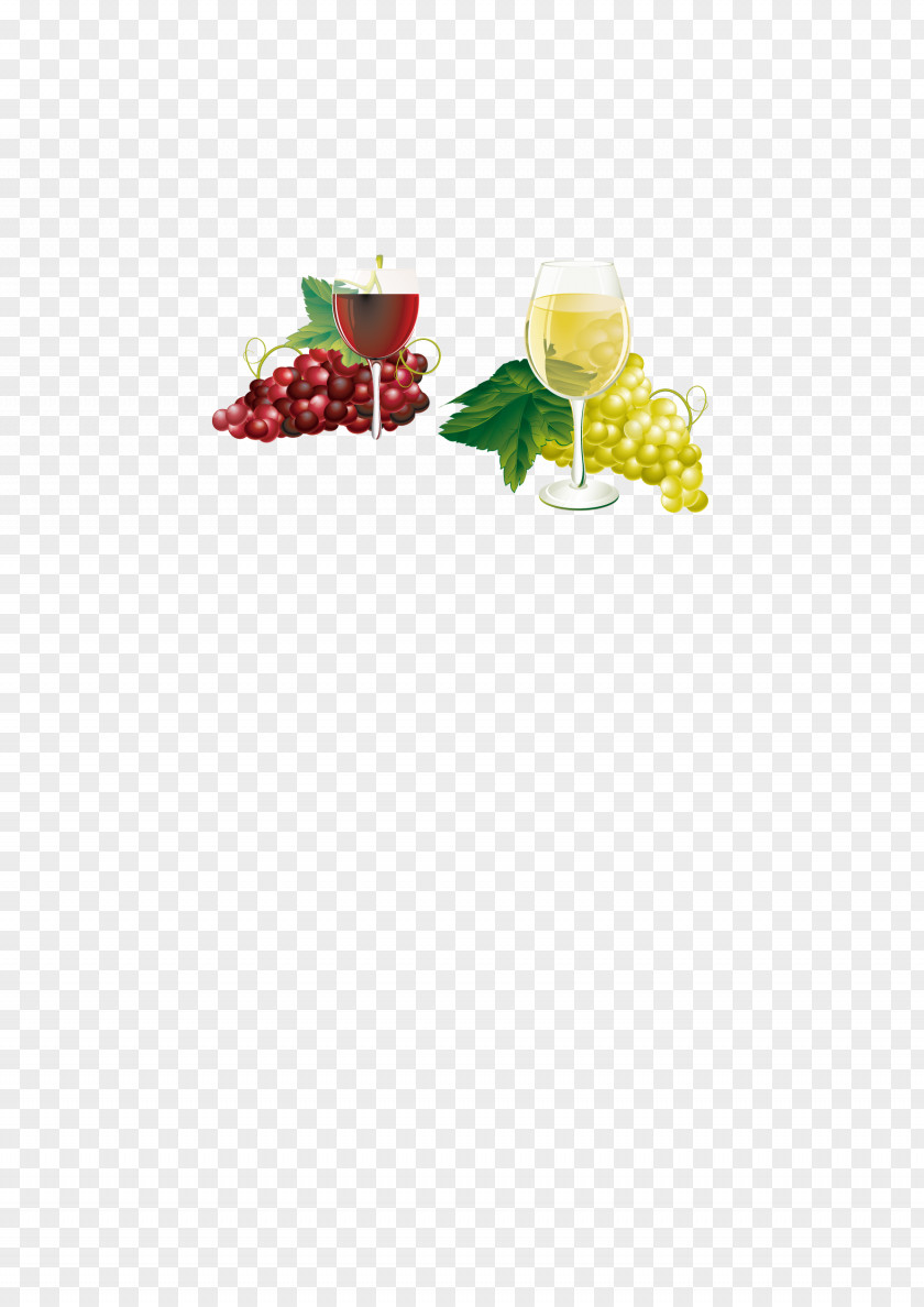 Red Wines White Wine Glass PNG