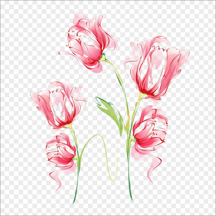 Beautiful Flowers Vector Carnation Watercolor Painting PNG