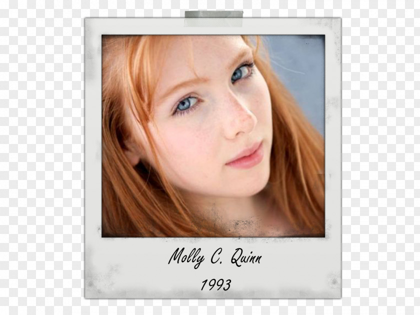 Castle Molly Quinn Alexis Actor PNG