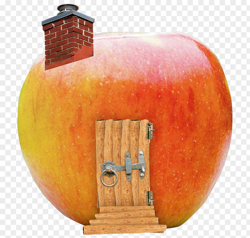 Delicious Apple House PhotoFiltre PNG