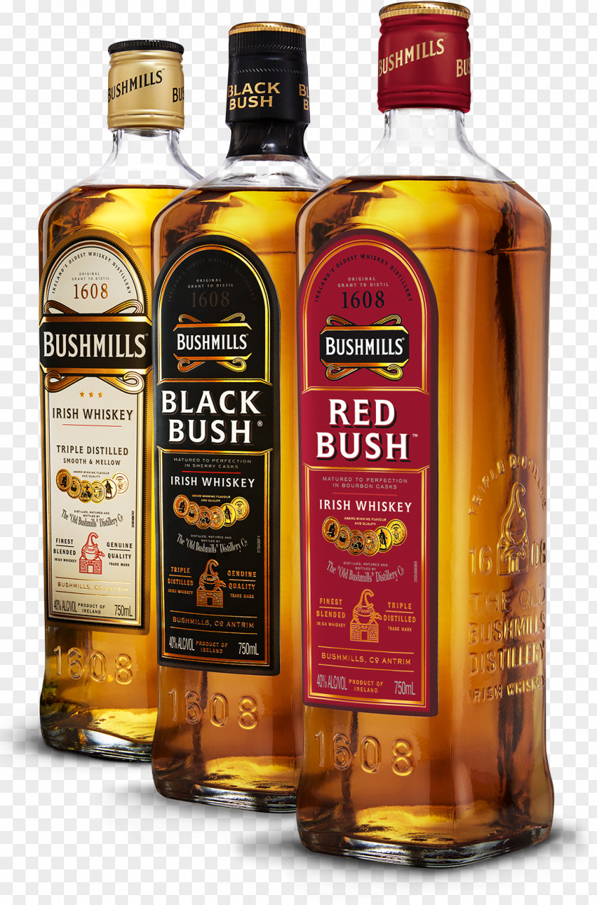 Drink Scotch Whisky Old Bushmills Distillery Irish Whiskey Distilled Beverage PNG