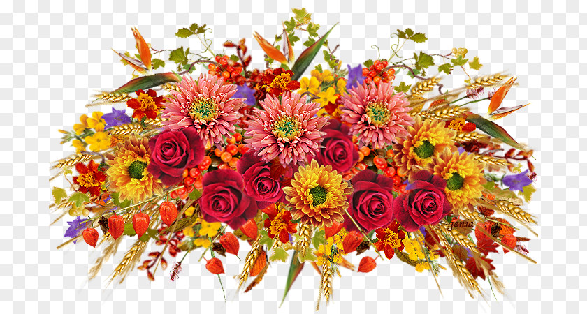 с днем рождения Floral Design Cut Flowers Flower Bouquet Transvaal Daisy PNG