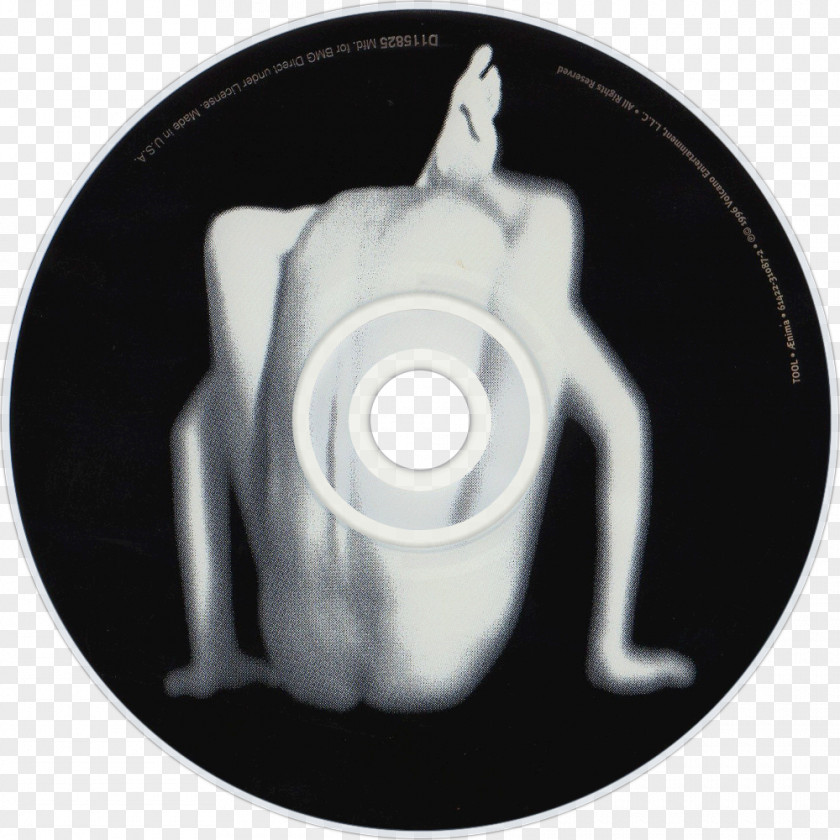 Rolling Pin Utensil Tool Ænima Lateralus Album Cover 10,000 Days PNG