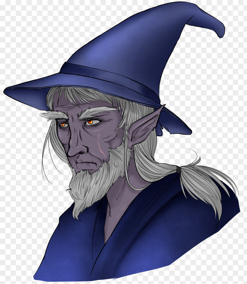 Wizard Dungeons & Dragons Half-Drow Wemic PNG