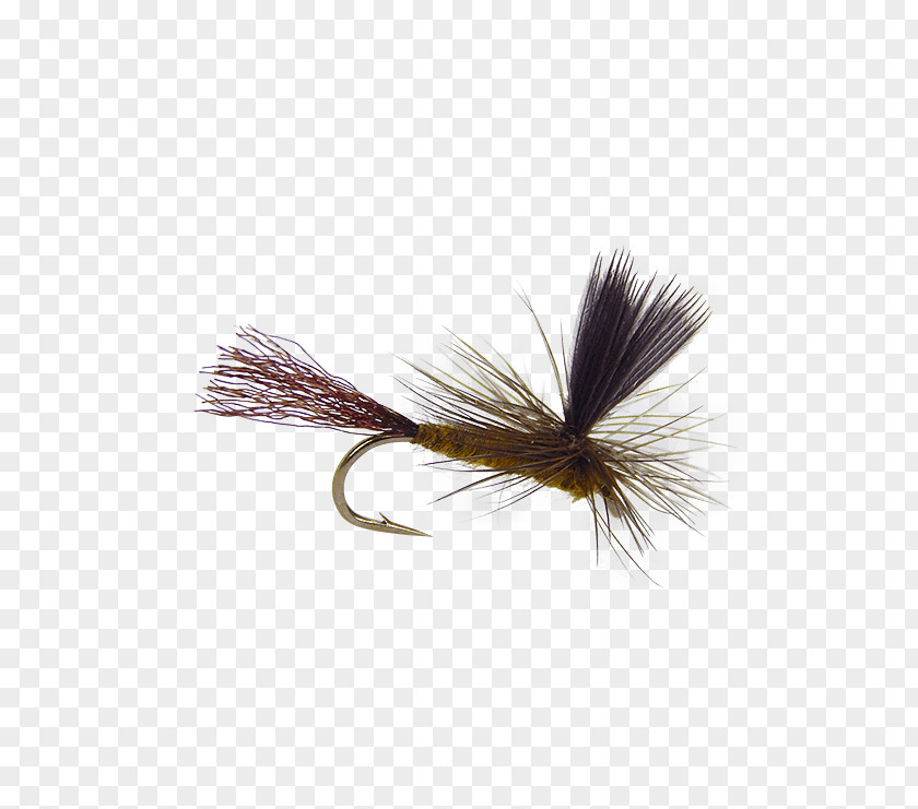 Dry Fly Fishing Artificial Precision PNG