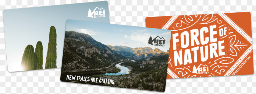 Gift Card REI Outdoor Recreation Credit PNG