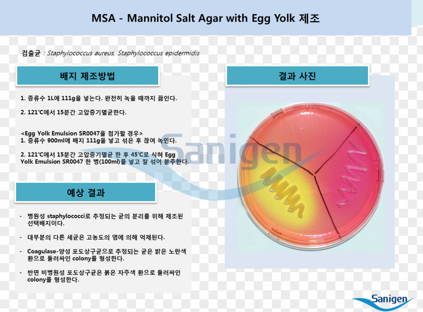 Mannitol Salt Agar Nutrient Growth Medium PNG