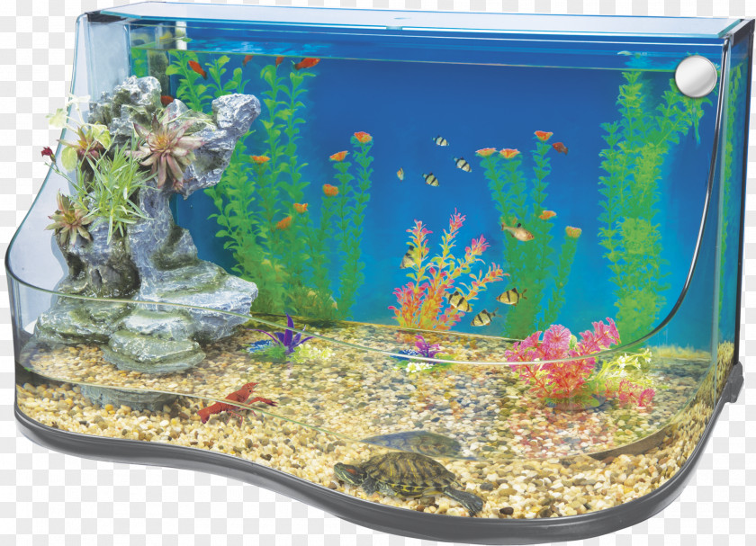 Multi Level Aquarium Filters Nano Reef Aquascaping PNG