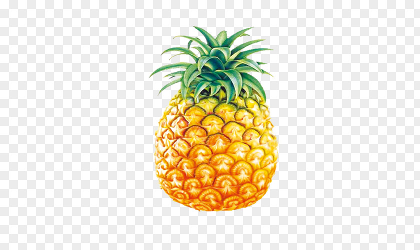 Pineapple Juice Amazon.com Fruit PNG