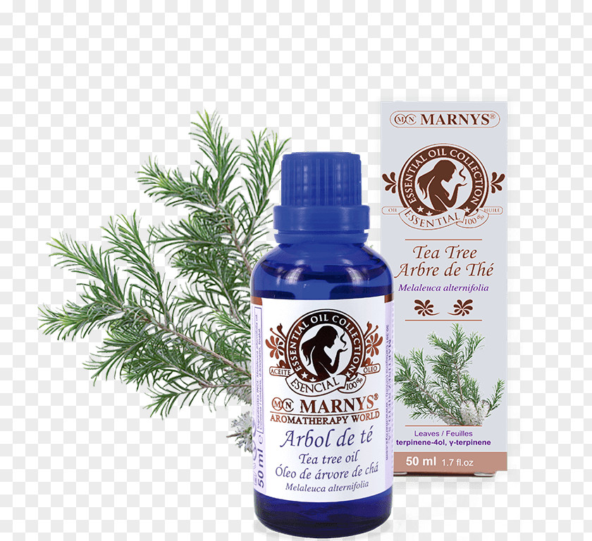 Tea Marny's Oil Tree Essential 15Ml. 15 Ml Narrow-leaved Paperbark Distillation PNG