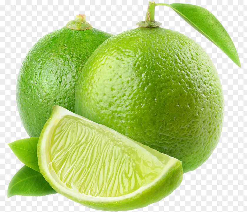 Lime Persian Grapefruit Key PNG