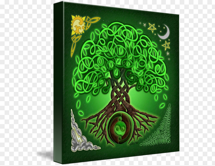 Tree Celtic Art Sacred Trees Of Life Knot Zazzle PNG