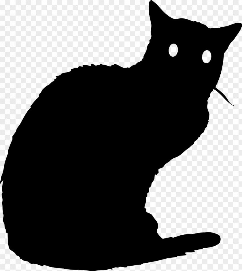 Cat Black Kitten PNG