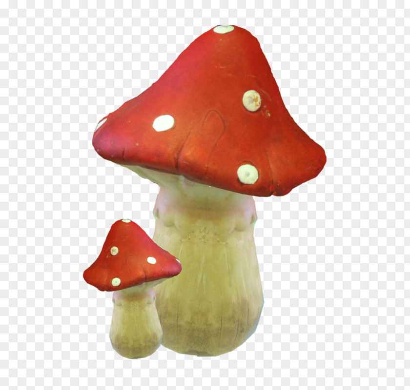Mushroom Drawing Fungus Amanita Muscaria PNG