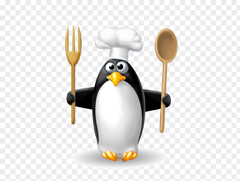 Penguin Galapagos Image Bird PNG