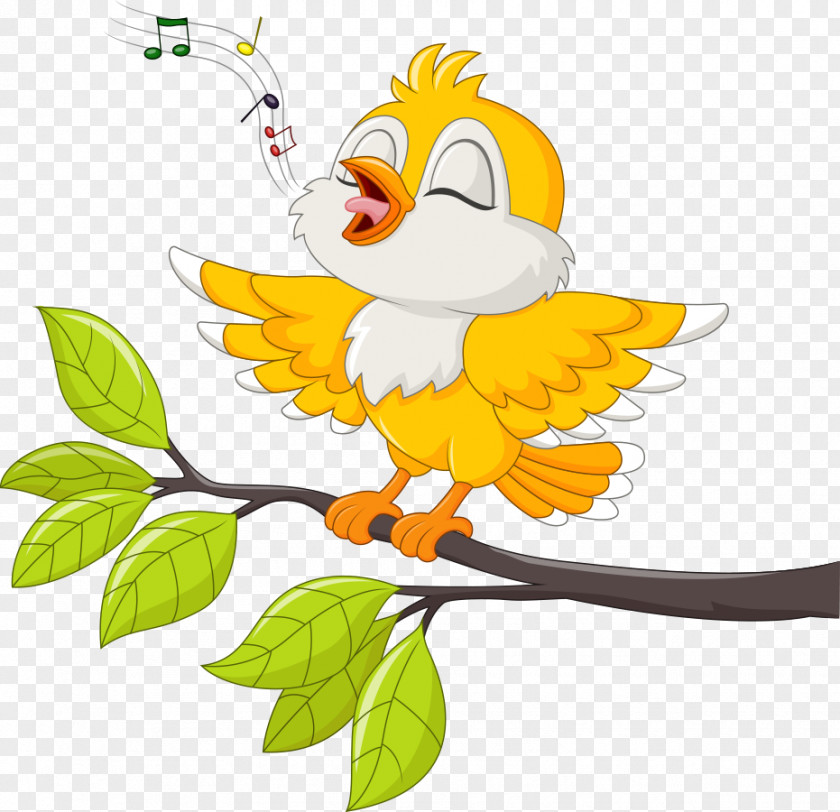 Vector Birds Singing On The Branches Bird Stock Illustration PNG