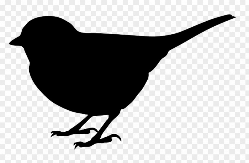 Borg Cliparts Bird Silhouette Clip Art PNG