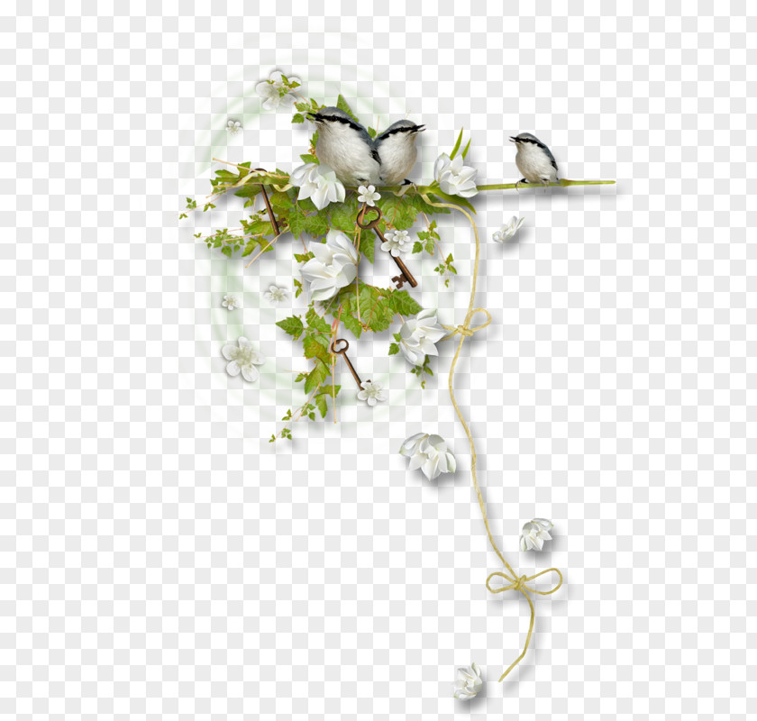 Copywriter Background Elements Floral Design Body Jewellery PNG