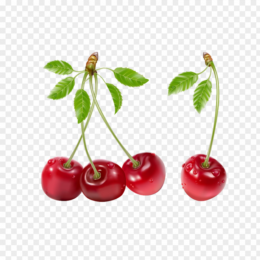 Fresh Cherry Fruit Clip Art PNG
