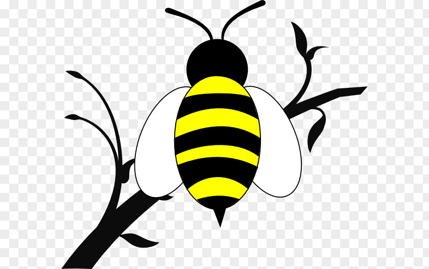 Honey Bee Branch Clip Art PNG