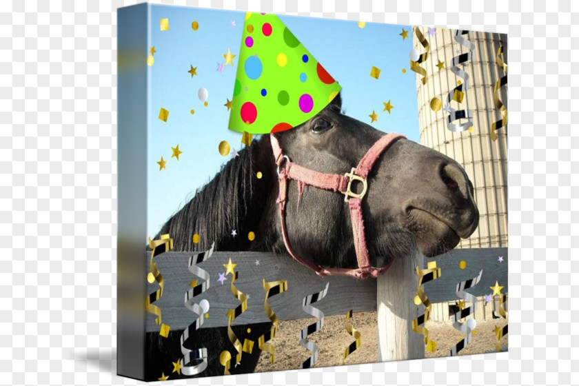 Horse Birthday Party Convite Snout PNG