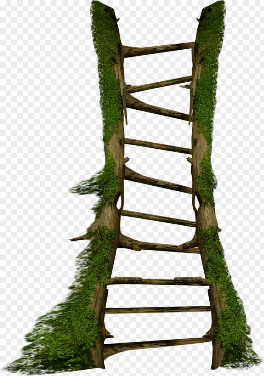 Ladders Stairs Ladder /m/083vt Clip Art PNG