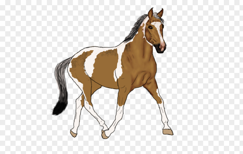 Mustang Foal Stallion Mare Bridle PNG
