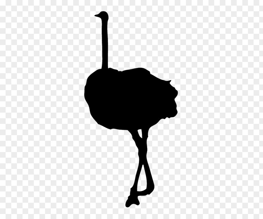 Ostrich Common Bird Silhouette Clip Art PNG