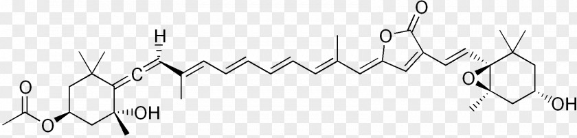 1,4-Naphthoquinone Carboxylic Acid Hydroxynaphthoquinone Chlorophyll PNG