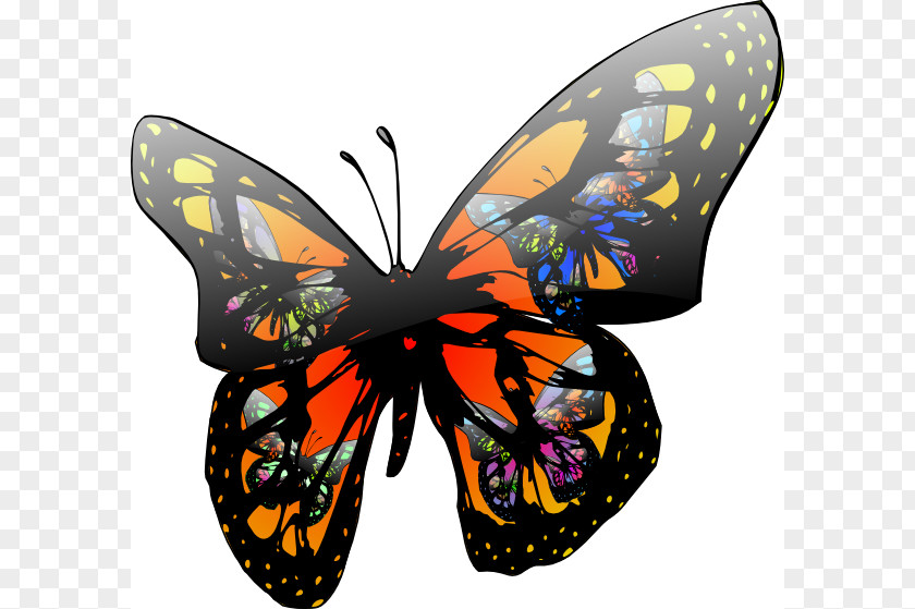 Buterfly Pictures Butterfly Effect Clip Art PNG