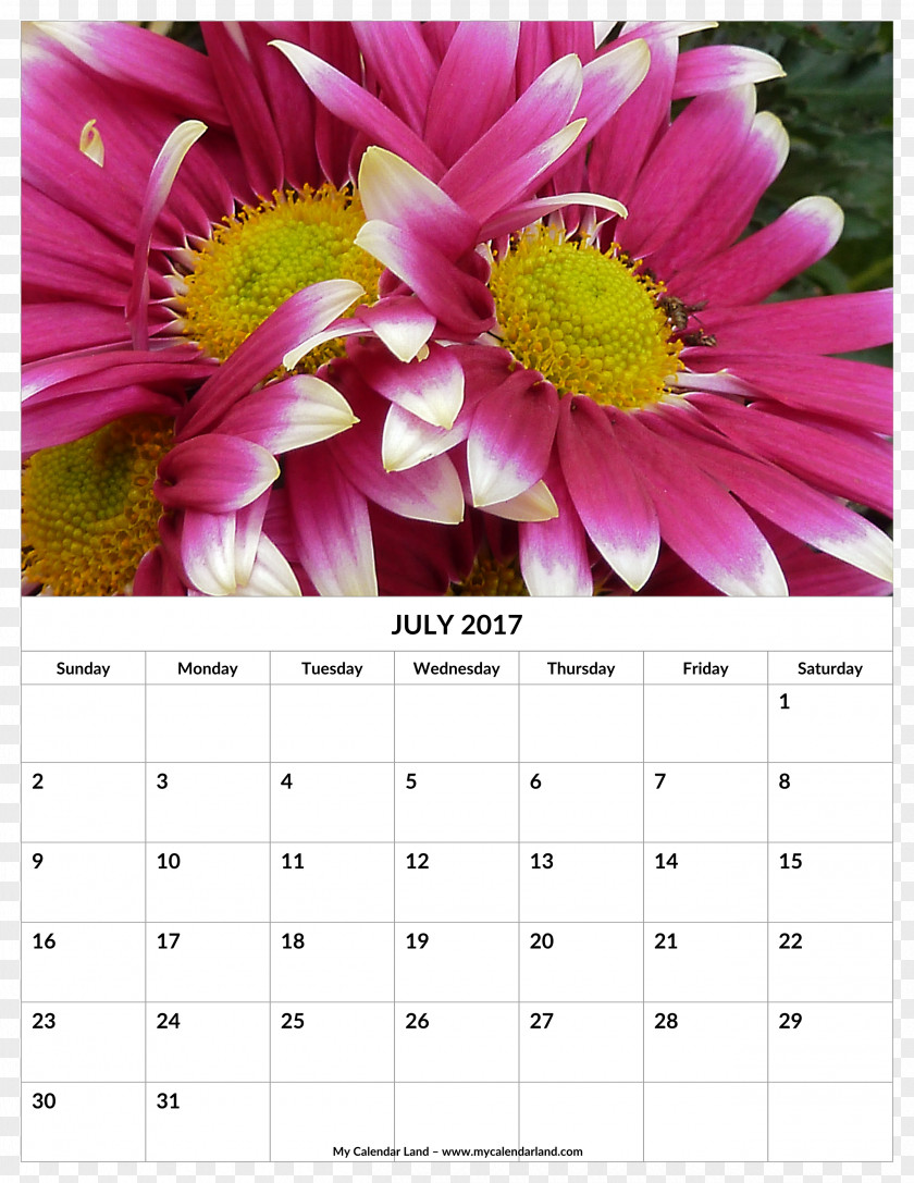 July Month Calendar 0 PNG