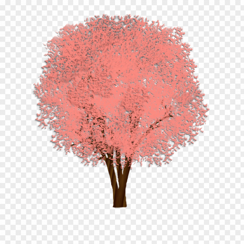 Tree Shade Cedar Elm Weeping Fig PNG