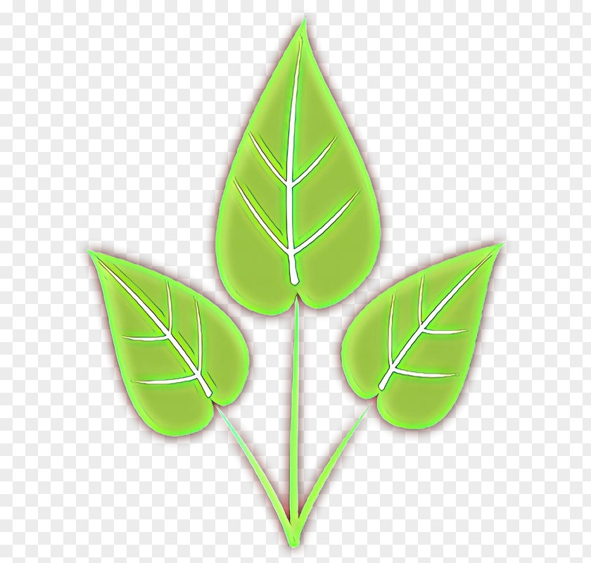 Anthurium Flower Leaf Green Plant Clip Art Logo PNG