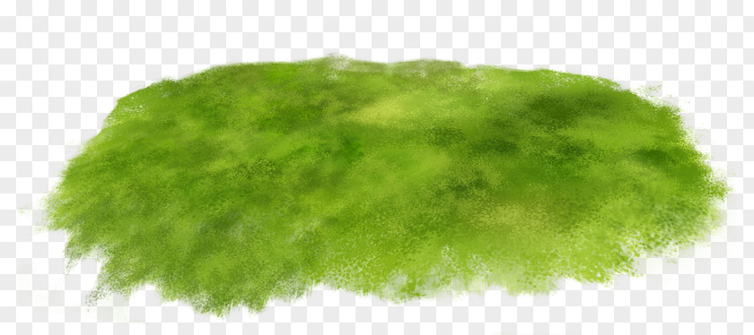 Data Compression Lawn Meadow Clip Art PNG