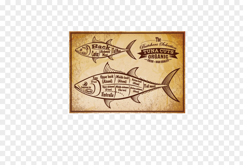 Kraft Fish Albacore Atlantic Bluefin Tuna Clip Art PNG