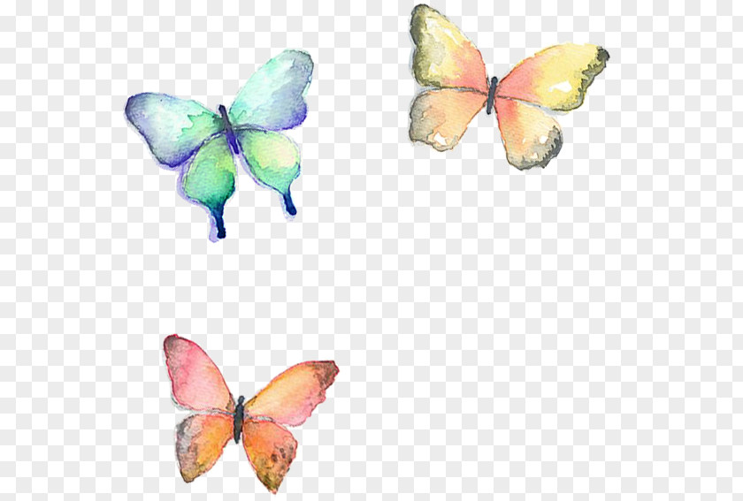 Motif Butterfly 16K Resolution PNG
