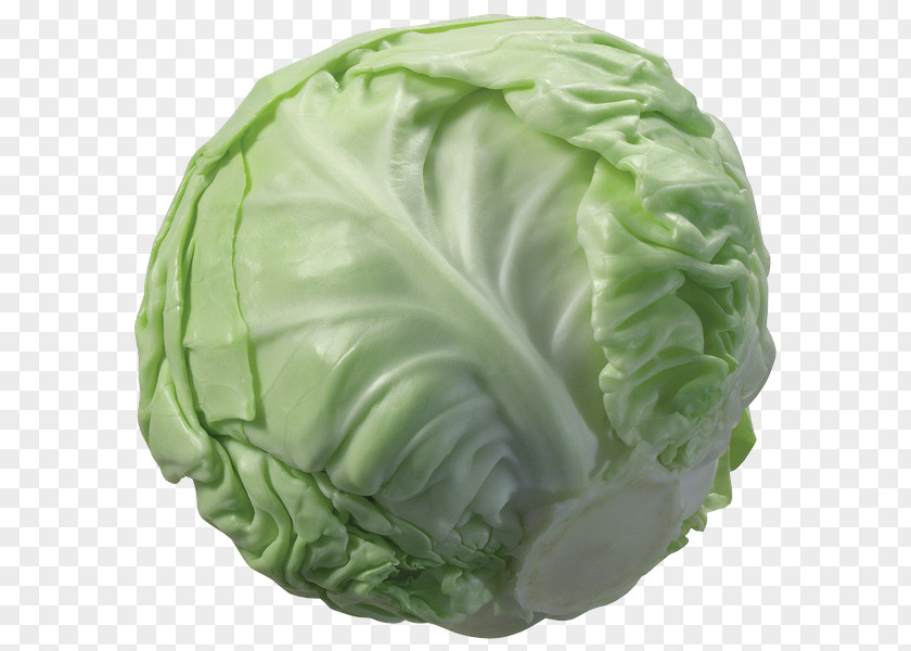 Cabbage Napa Cauliflower Vegetable PNG
