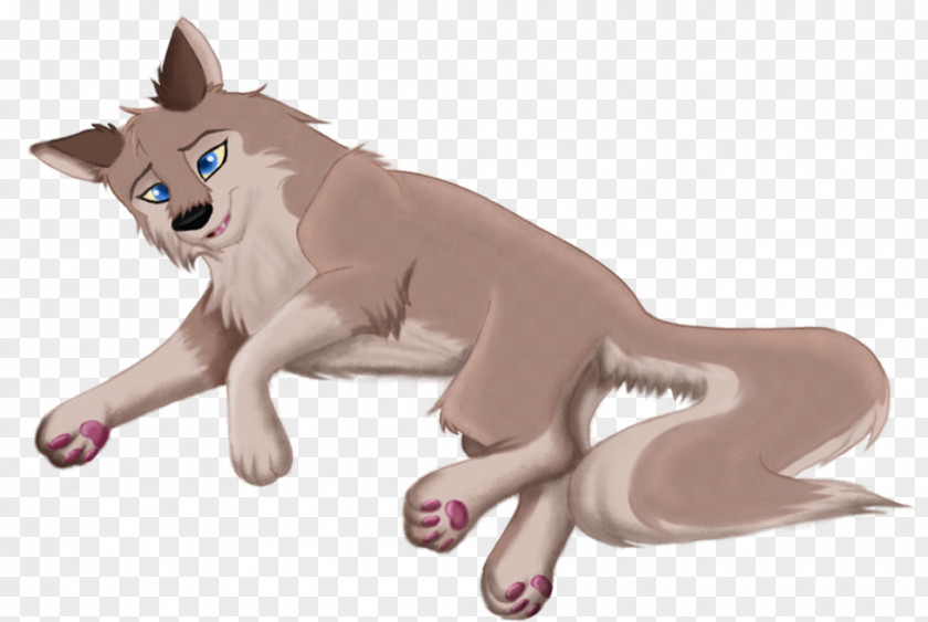 Cat Whiskers Dog Horse Mammal PNG