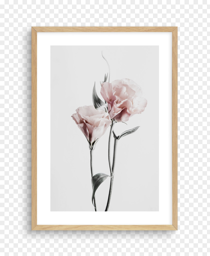Design Floral Cut Flowers Rose Family Picture Frames PNG