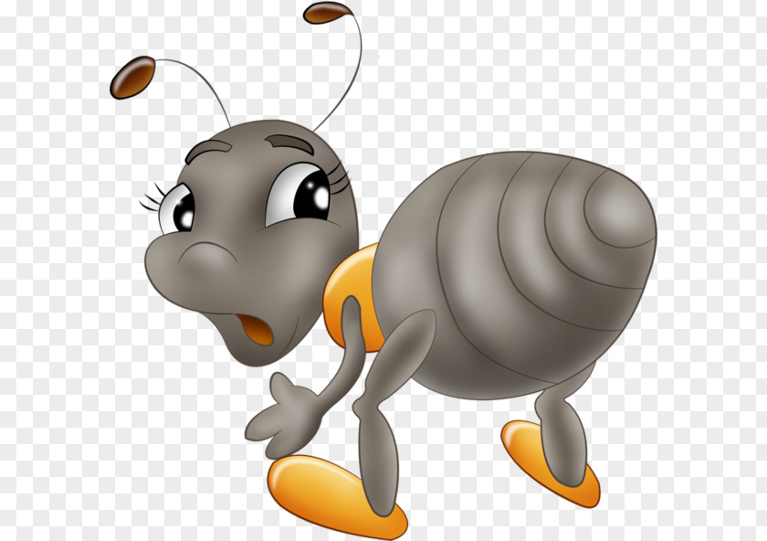 Gray Ants Bee Ant Drawing Clip Art PNG