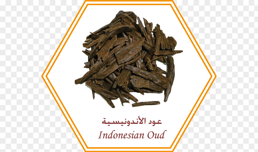 Oud Perfume Agarwood Bukhoor Essential Oil Incense PNG