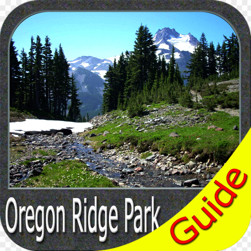 Park Cascade Range Oregon National Landscape Nature PNG