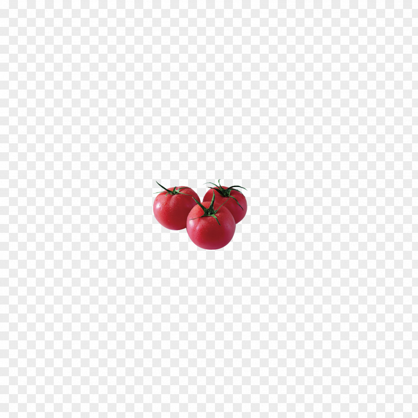 Red Tomatoes Tomato Vegetable Rouge Tomate PNG