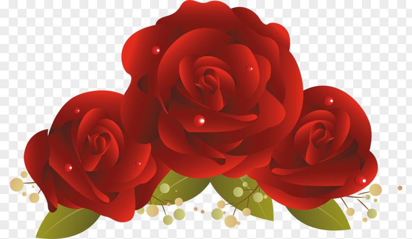 World Wide Web Garden Roses Cut Flowers Floral Design PNG