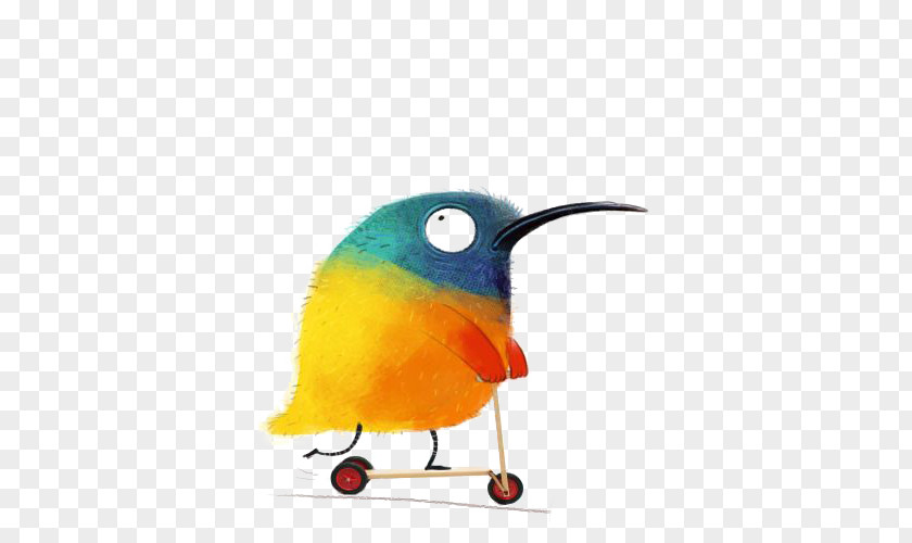 Bird Skateboard Cartoon Illustration PNG