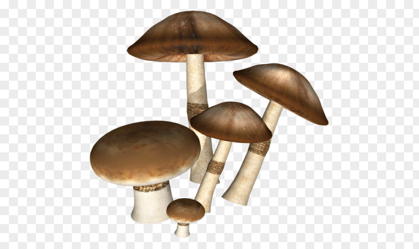 Dark Mushrooms Icon PNG