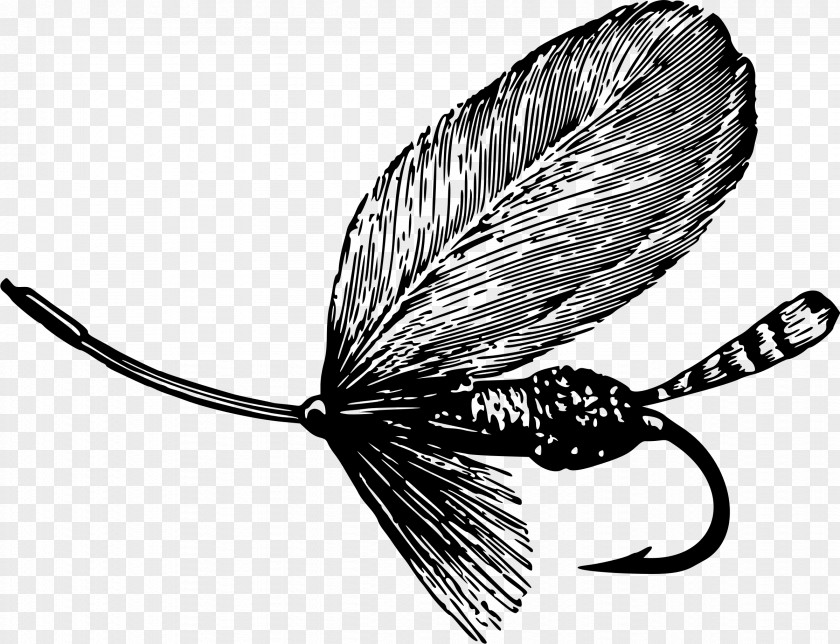 Fishing Baits & Lures Fly Clip Art PNG