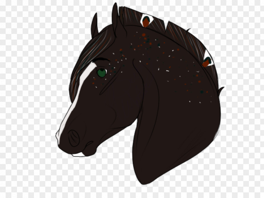 Handsome Fella Halter Mane Pony Mustang Rein PNG